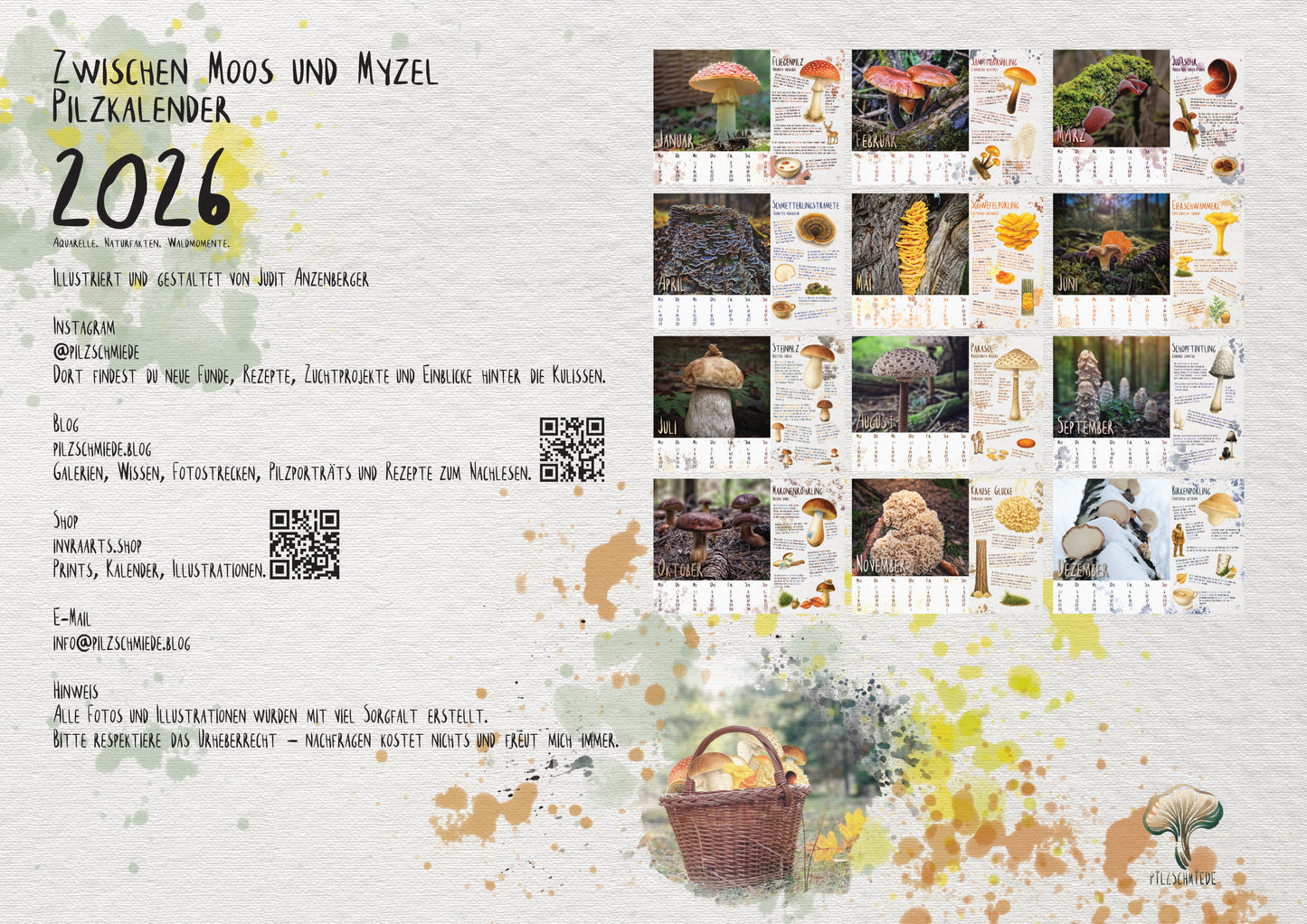 Pilzkalender 2026 | A3 Naturfotos mit Aquarell-Details & Wissensteil