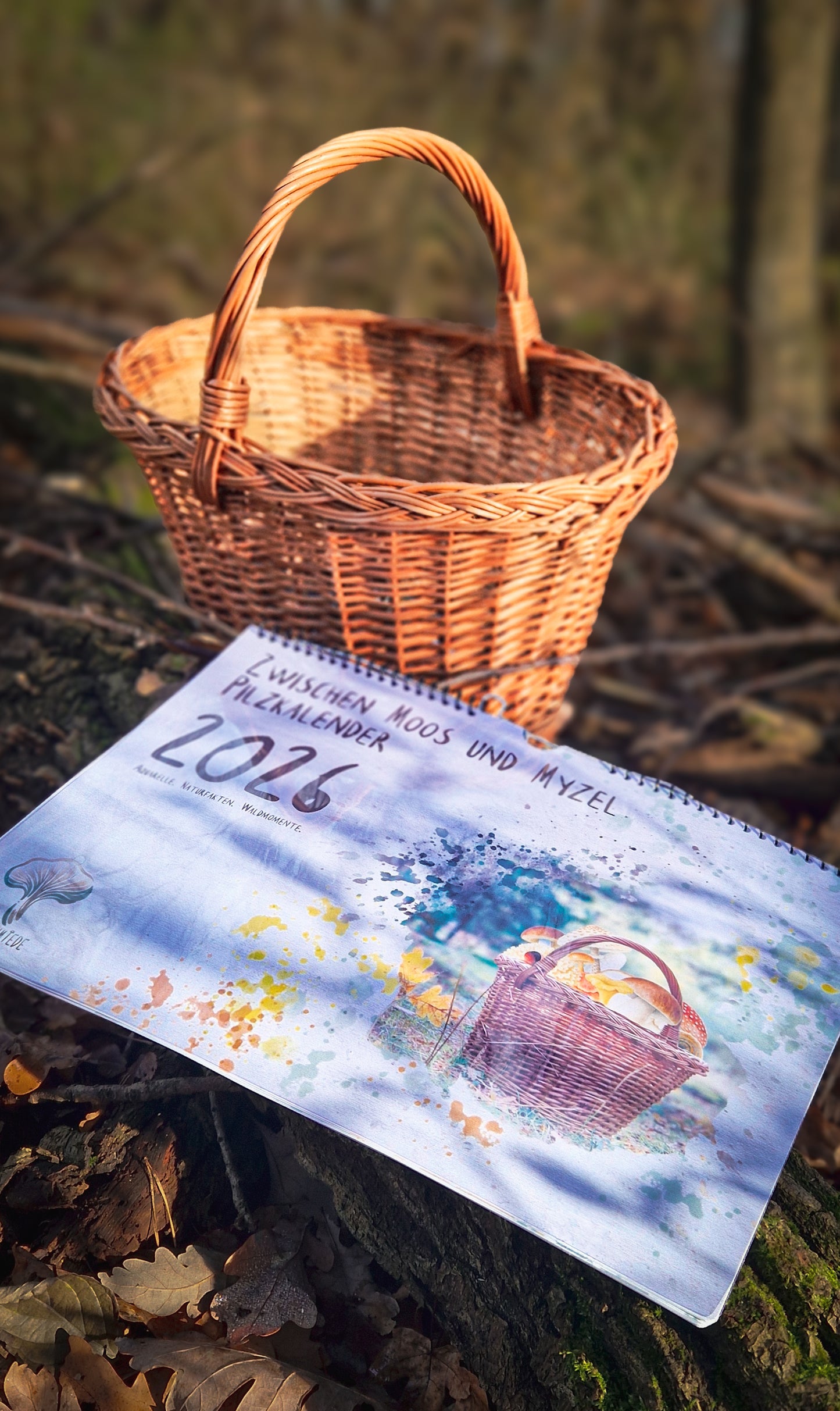 Pilzkalender 2026 | A3 Naturfotos mit Aquarell-Details & Wissensteil