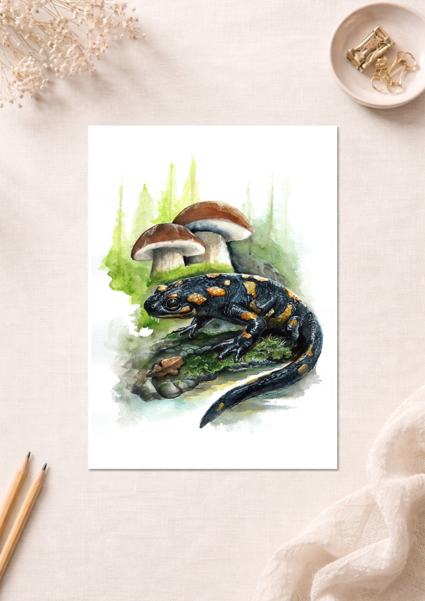 Feuersalamander - Fine Art Print