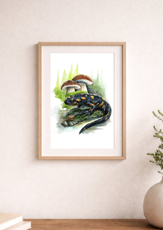 Feuersalamander - Fine Art Print
