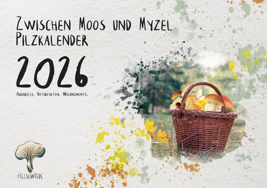 Pilzkalender 2026 | A3 Naturfotos mit Aquarell-Details & Wissensteil