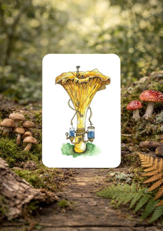 Fabrik 6 - Eierschwammerl/Pfifferling